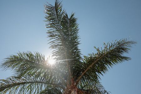 Apartamento de alquiler en Costabella - Photo 3