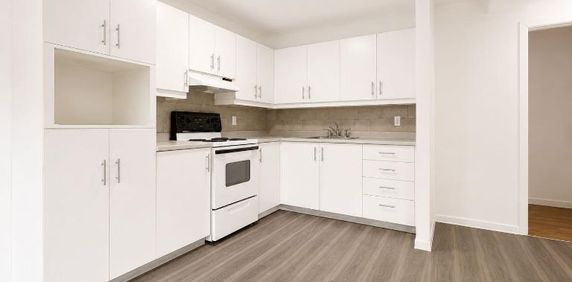 1 CH - 1 SDB - Montréal - $1,340 /mo - Photo 2