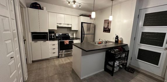 1 Bed 1 Bathroom Apartment for rent - Photo 2