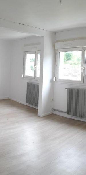 TYPE 3 LA CROIX AUX MINES - Photo 1