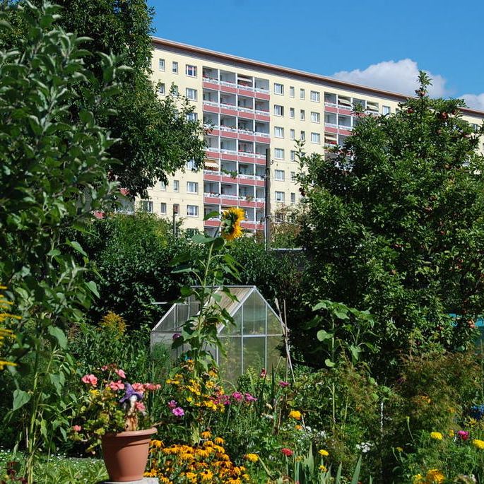 3-Zimmer-Wohnung mit Blick ins Grüne - Foto 1