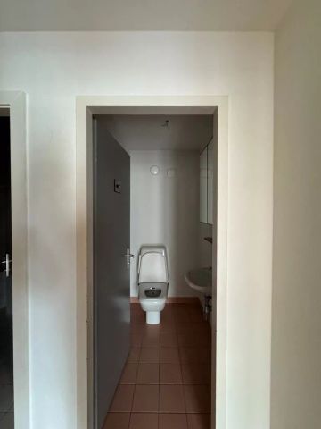 Joli 4 pièces proche du lac rafraîchi à louer - Foto 5