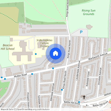Rae Avenue, Wallsend