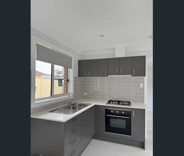 Brand New Granny Flat – Quiet Leafy Street - Photo 4