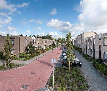 Safarigeel 25 - Foto 5