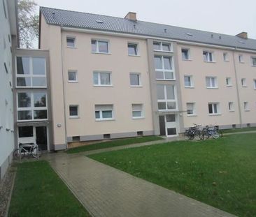 Nette Nachbarn gesucht: weitläufige 4-Zimmer-Wohnung frisch saniert - Photo 1