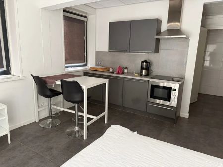 Studio De Run, Veldhoven - À louer - Photo 2