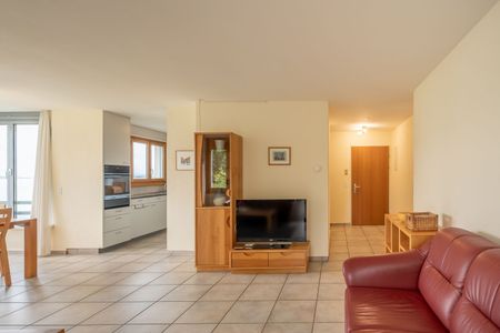 APPARTEMENT 31/2 PIÈCES À OBERRIEDEN (ZH), MEUBLÉ - Foto 3