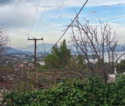 Μονοκατοικία για ενοικίαση - Αυλίδα, - Photo 5