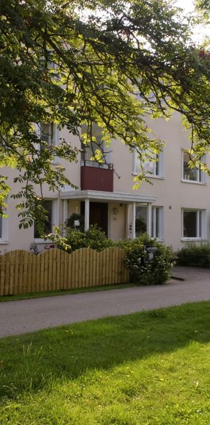 Mossebogatan, Sommen - Foto 1