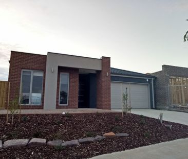 Charming Home in the Heart of Bethany Park! - Photo 5