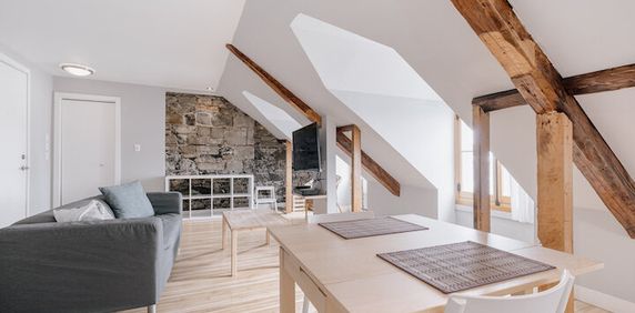 Colombier Loft Studio Entièrement Meublé à Louer Vieux-Québec Novembre 2026 - Photo 2