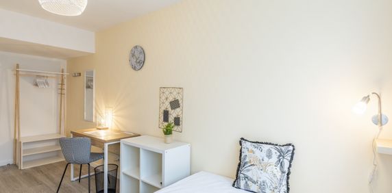 ALSACE Colocation 4 chambres à Illkirch Graffenstaden - Photo 2
