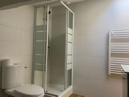 Location Appartement 1 pièce 23m² BORDEAUX 33000 - Photo 2
