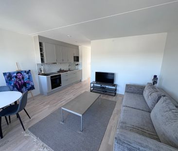 Professorsgatan, Mölndal - Foto 5