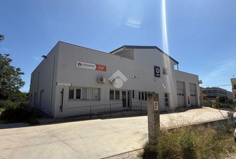 Capannone in affitto