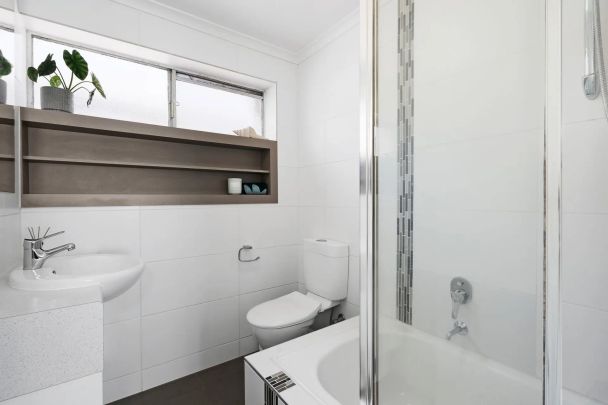 Renovated and Light-filled Apartment in the Perfect Location! - Photo 1