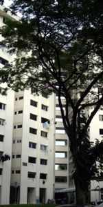 Blk 371 Clementi Avenue 4 (Clementi), HDB 3 Rooms - For Rent - Photo 4