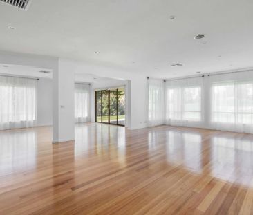 Everything You Need! - Photo 6