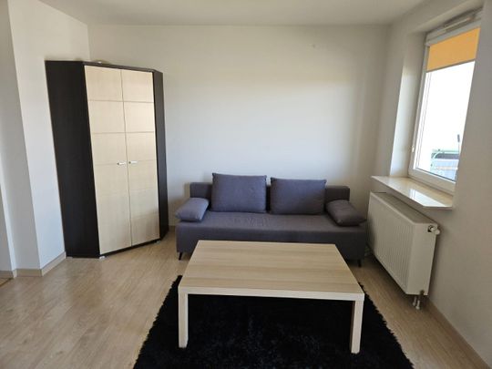 Lublin, Sławin, Botanik - Zdjęcie 1