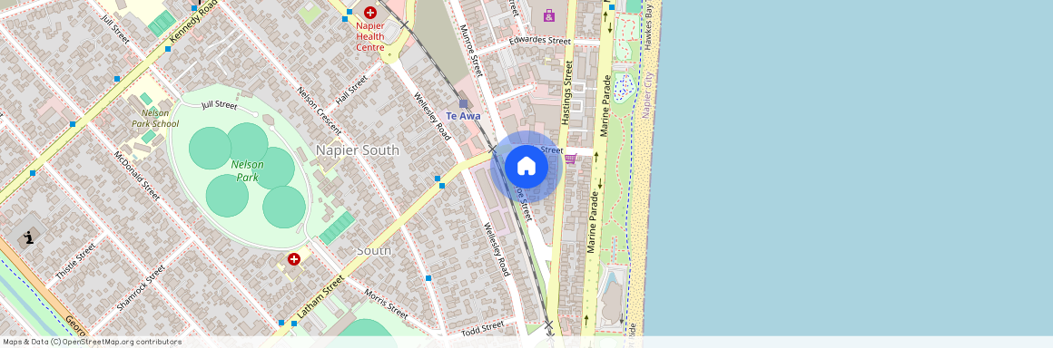 104 Munroe Street, Napier South, Napier City