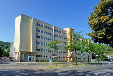 Erstbezug nach Renovierung - Garconniere mit Loggia innerhalb VOR Kernzone - Photo 5