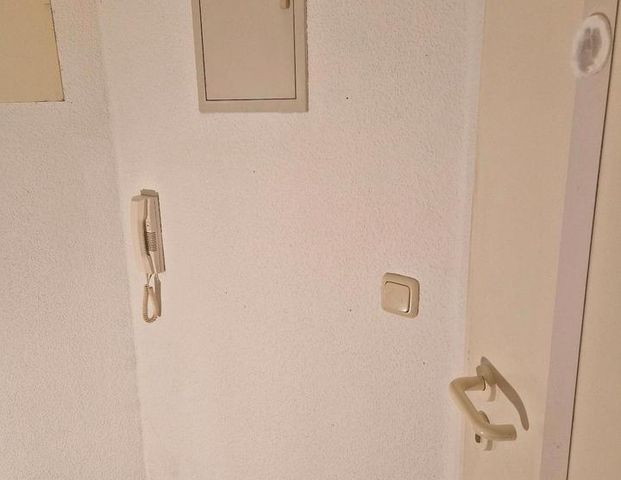 38qm Wohnung mit Garten 1 Zimmer Badewanne Nieder Olm ab 15.11 - Photo 1