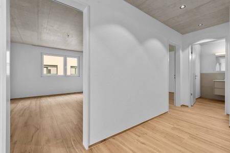 Erstvermietung: Grosse Flächen, wohnen mit viel Raum - Photo 5