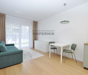 Toruń, Jar, Toruń - Фото 2