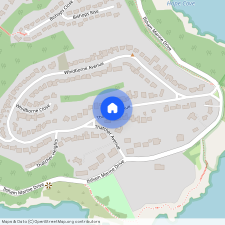 Thatcher Avenue, TQ1, Torquay