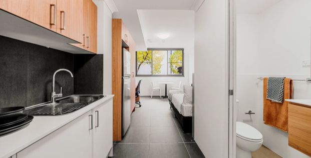 Deluxe Single Studio ( Window) - Photo 1