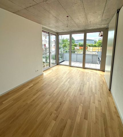 Moderne 4.5-Zimmer-Wohnung in neuem Terrassenhaus - Photo 3