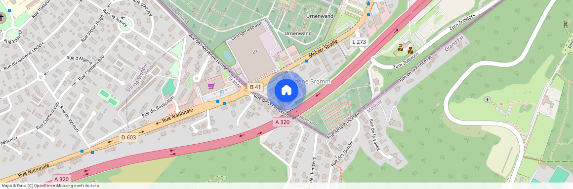 Bei der Goldenen Bremm 18, 66117 Saarbrücken-Mitte - Alt-Saarbrücken