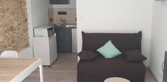 Location Appartement 1 pièce 16m² NIMES 30900 - Photo 2