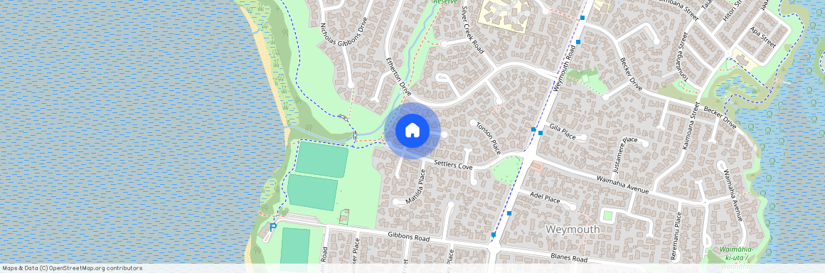 3 Newbegin Place, Weymouth, Manukau City