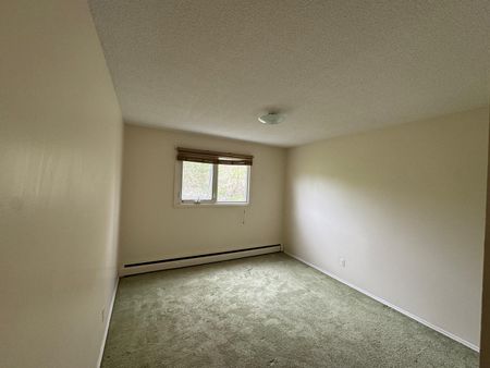 NEW PRICE!! 1 Bedroom Apartments at Bridgeview!! - Photo 2