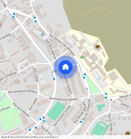 ** RUE PAUL GAUGUIN, 42100, St Etienne