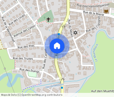 Location Appartement 3 pièces 83m² WOLFISHEIM 67202 - Photo 1