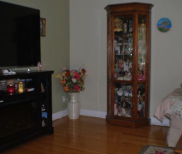 2655 Rue De Charny, Montréal (Ahuntsic-Cartierville), QC H3M - Photo 2