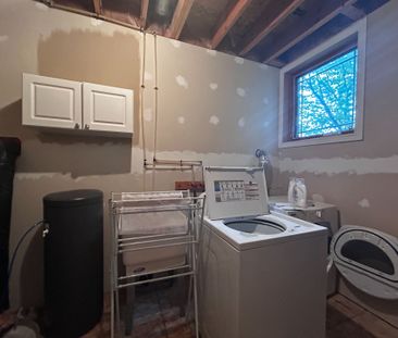 For Lease - 63 Birkinshaw Road Unit# Lower, Cambridge, Ontario - Photo 5