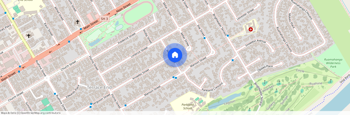 13 Webb Street, Terrace End, Palmerston North City