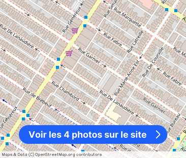 4 1/2 - Montréal (Le Plateau Mont-Royal) - 2 200 $/mois - Photo 1