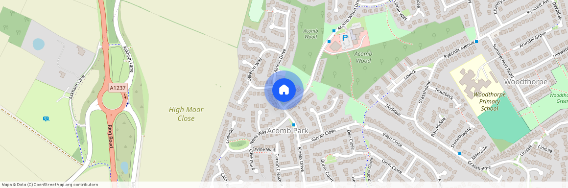 Alness Drive, York