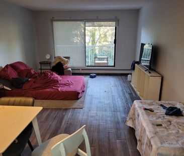 2 bedroom corner unit 2 floor near Lougheed Mall - Photo 1