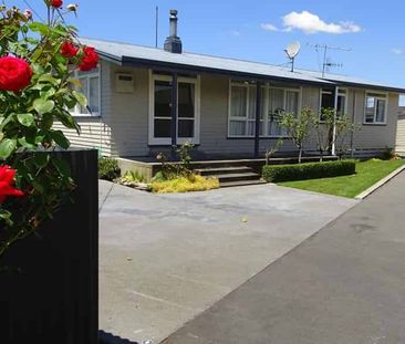 Terrace Road, Parkvale - Photo 5