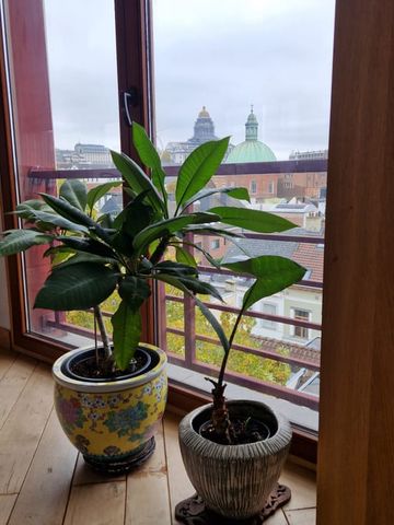 Loft te huur - Photo 5