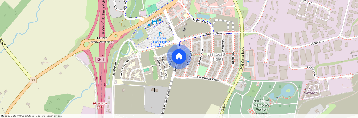 21 Bronzewater Drive, Silverdale, Rodney