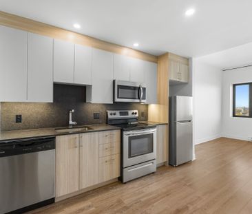 Condo for rent, Montréal (Le Plateau-Mont-Royal) - Photo 5