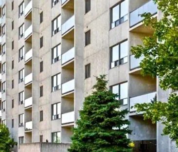 699 Talbot — 1 Bedroom - Photo 1