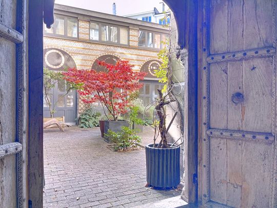 Chatelain - 2-bedroom rear house, large terraces - Photo 1